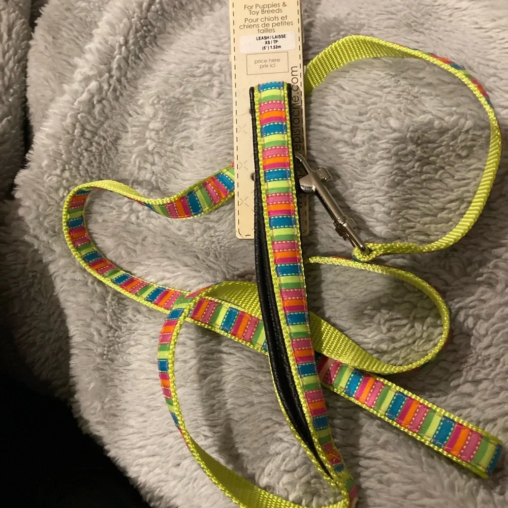 Colorful 🌈 xs 5ft leash 🐶💗